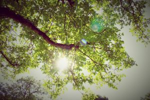 Sommer Lorettobad